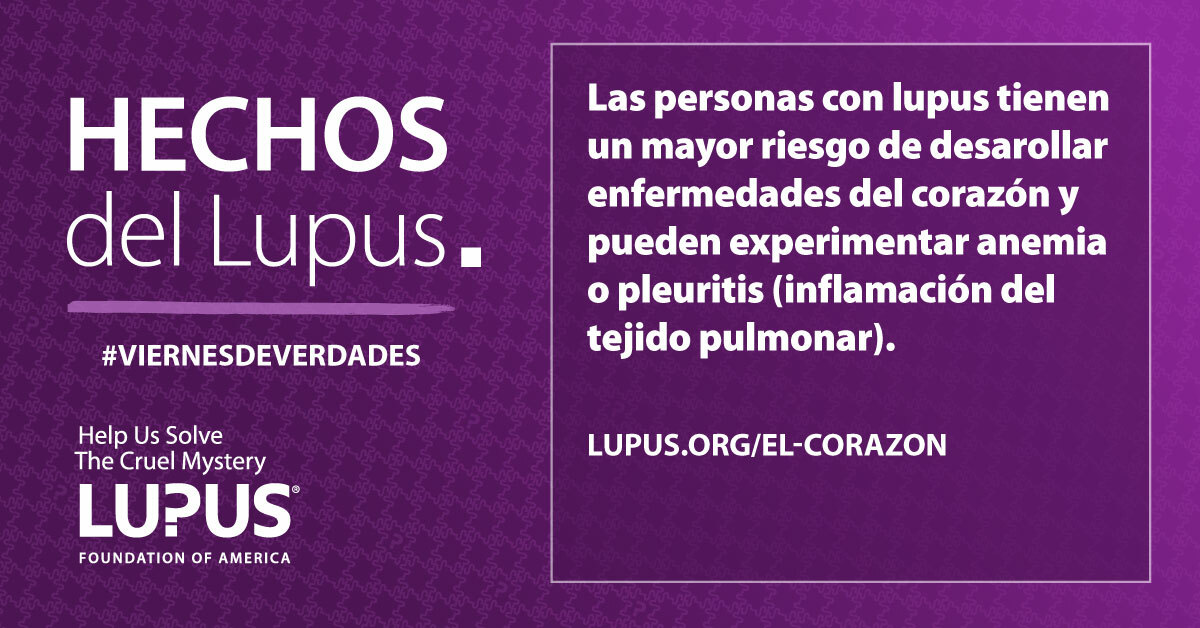 el-lupus-y-el-coraz-n-los-pulmones-y-la-sangre-lupus-foundation-of