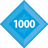 TeamRaiser Achievement Badge